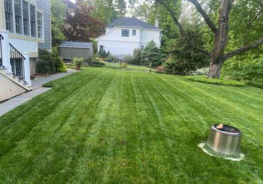 Fresh mowed lawn in Centreville Virginia