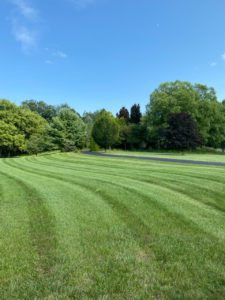 Fresh mowed lawn in Schaumburg Illinois