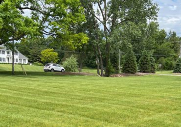 Freshly mowed lawn in Cleveland Heights Ohio