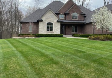 Freshly mowed lawn in Lakewood Ohio