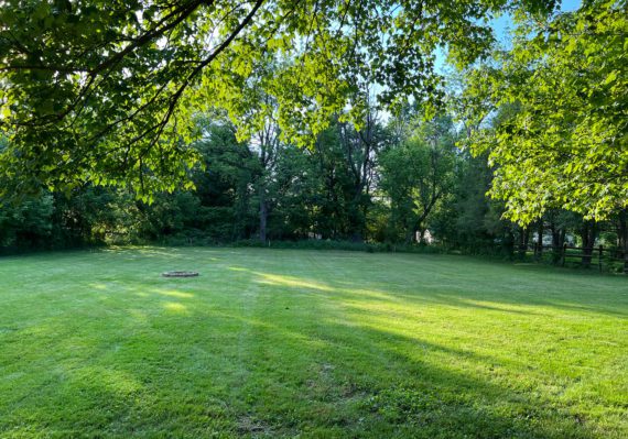 Freshly mowed lawn in Wallingford, Pennsylvania.