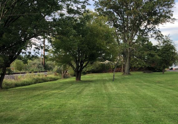 Freshly mowed lawn in Upper Darby Pennsylvania.