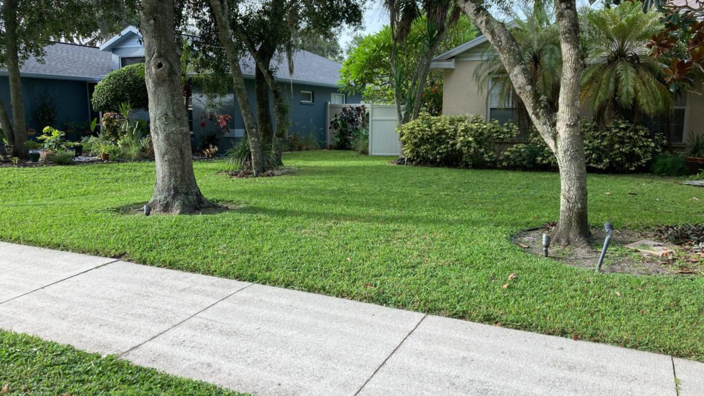 Freshly mowed lawn in Brandon Flordia.