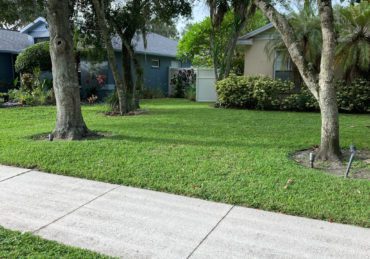 Freshly mowed lawn in Brandon Flordia.