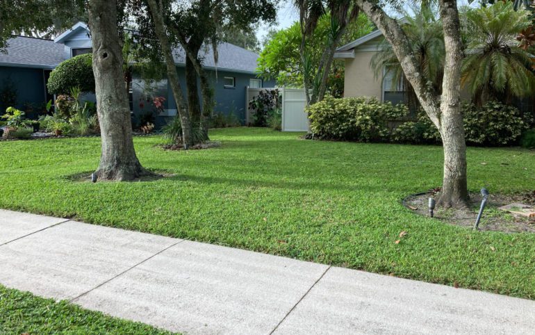 Freshly mowed lawn in Brandon Flordia.