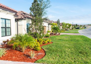 Freshly mowed lawn in Kissimmee Florida