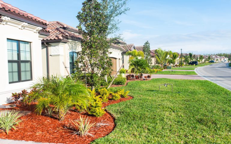 Freshly mowed lawn in Kissimmee Florida