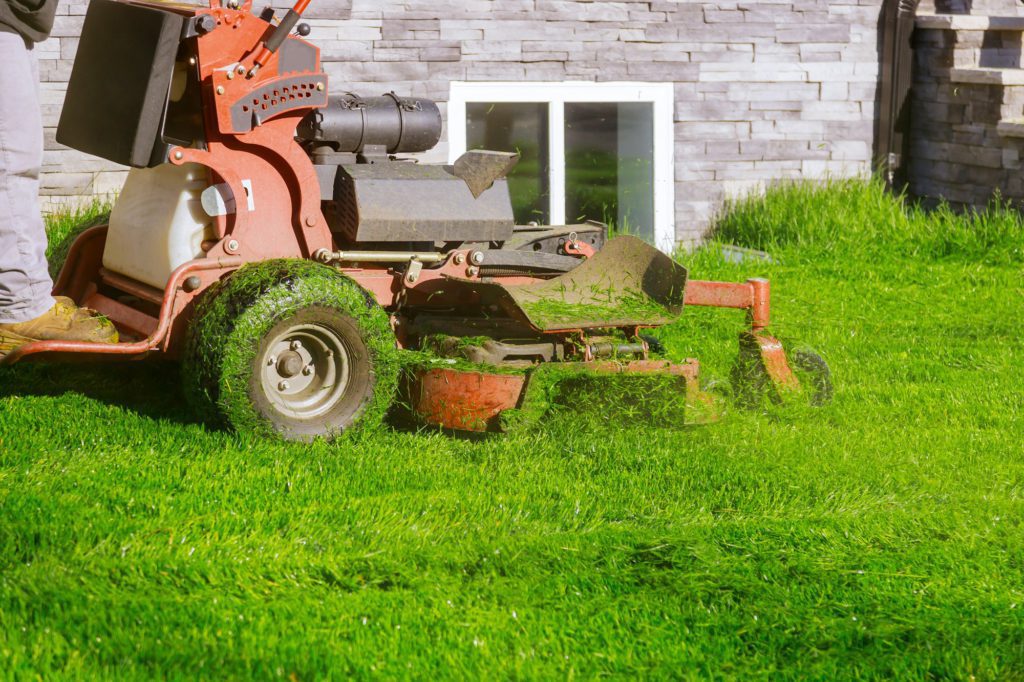 Gardener activity mowing green plants with lawn mower cutting grass