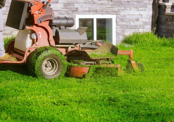 Gardener activity mowing green plants with lawn mower cutting grass