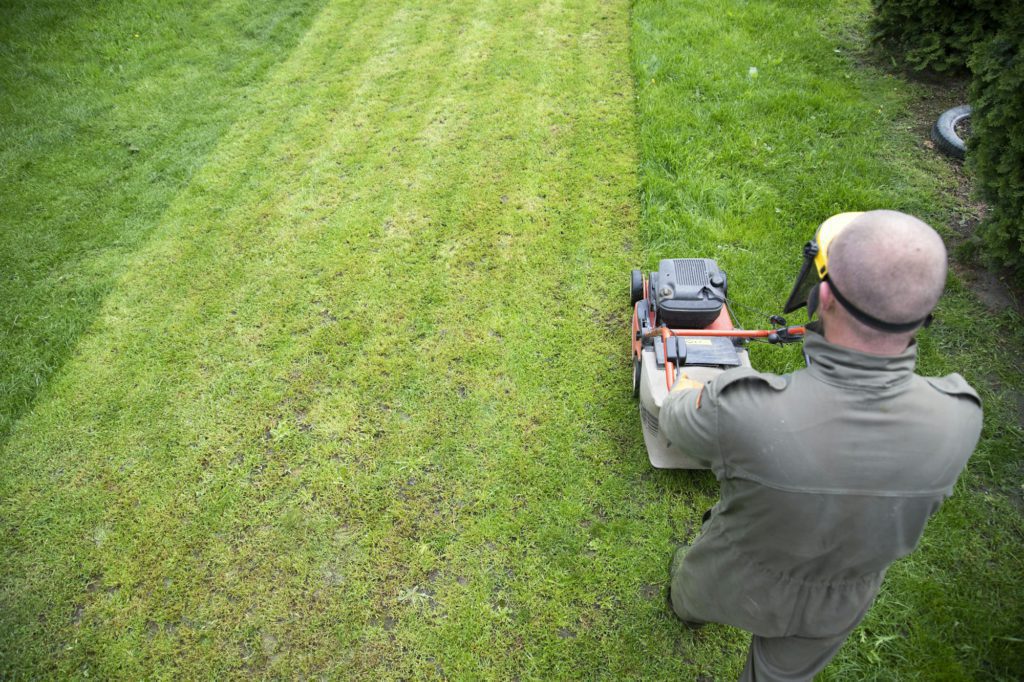Lawn mover on green grass. Machine for cutting lawns.
