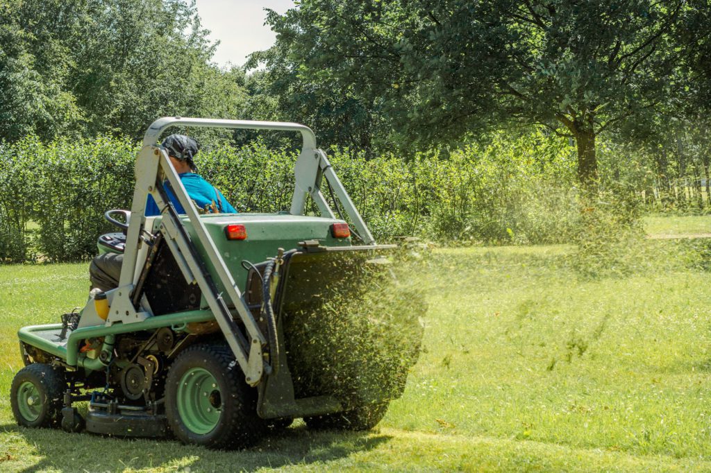Professional gardener cutting green grass on lawn mower machine in park