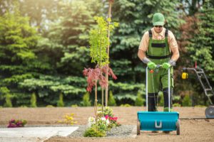 Backyard Garden Grass Seeding