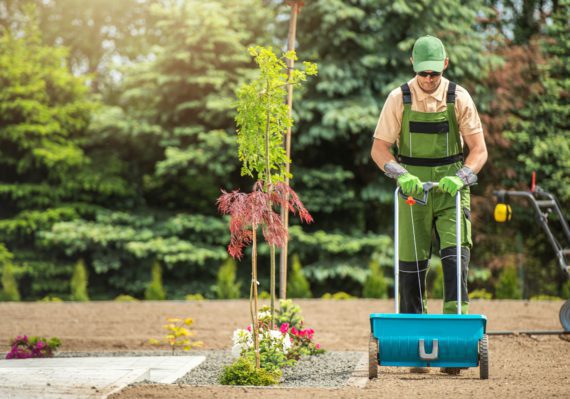 Backyard Garden Grass Seeding