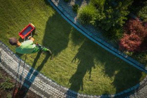 Gardener using a fertilizing distributor to feed the grass