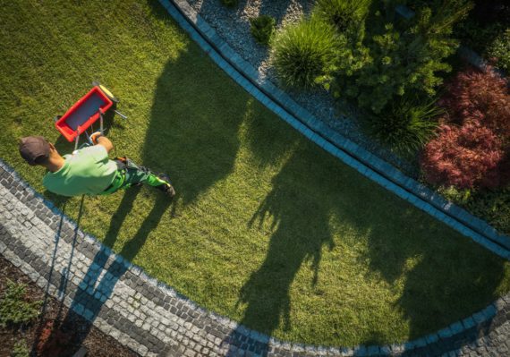 Gardener using a fertilizing distributor to feed the grass