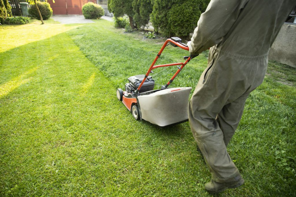 Lawn mover on green grass. Machine for cutting lawns.