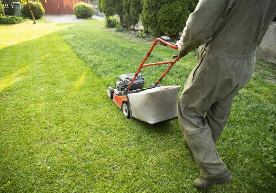 Lawn mover on green grass. Machine for cutting lawns.