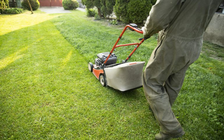 Lawn mover on green grass. Machine for cutting lawns.