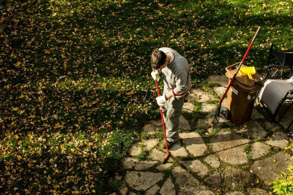 Man raking leaves on sunny autumn day in back yard high angle view