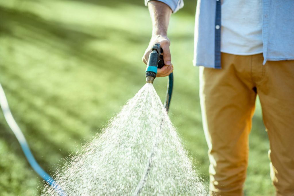 Man watering green lawn