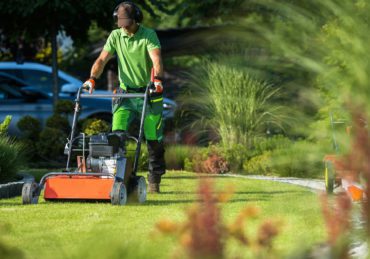 Landscaper with Scarifier Machine Taking Care of a Lawn.