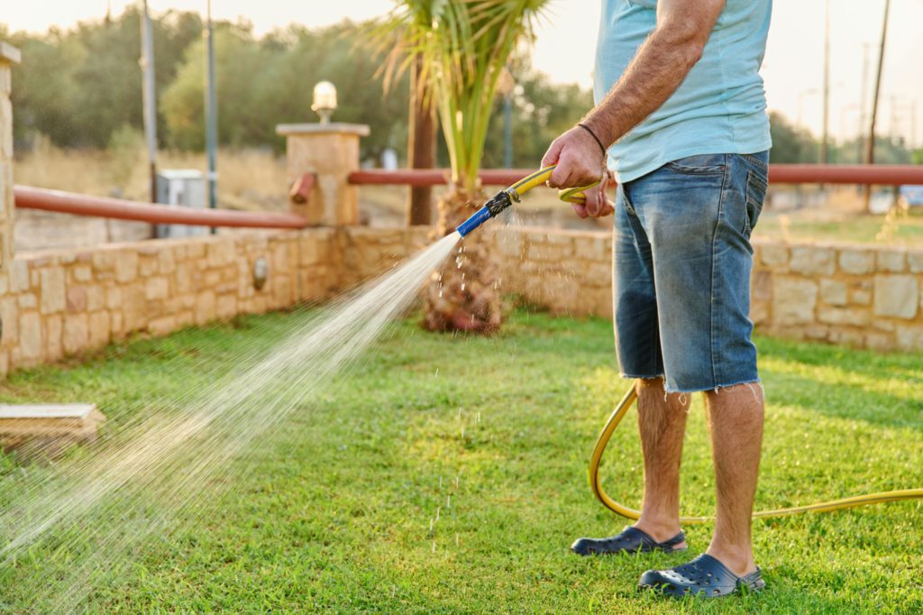 Man watering the lawn with a hose in the morning