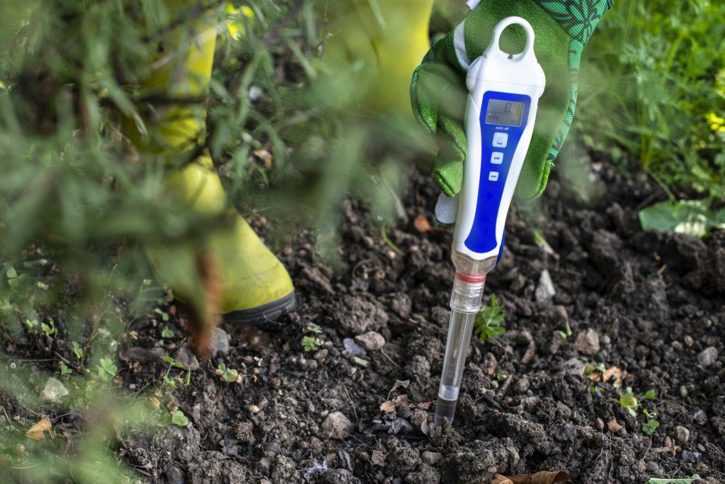 PH meter tester in soil. Measure soil with digital device.