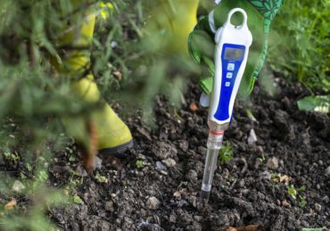 PH meter tester in soil. Measure soil with digital device.