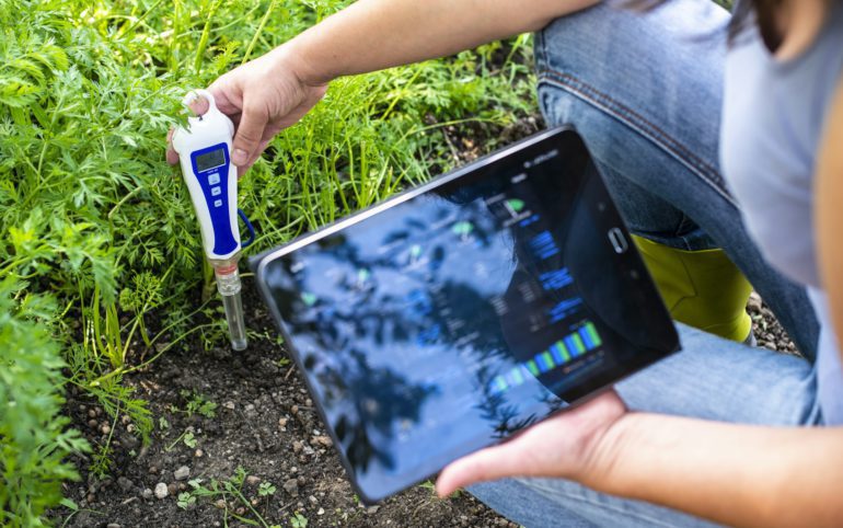PH meter tester in soil. Measure soil with digital device and tablet. Woman farmer in a garden.