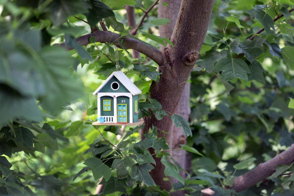 Green bird house