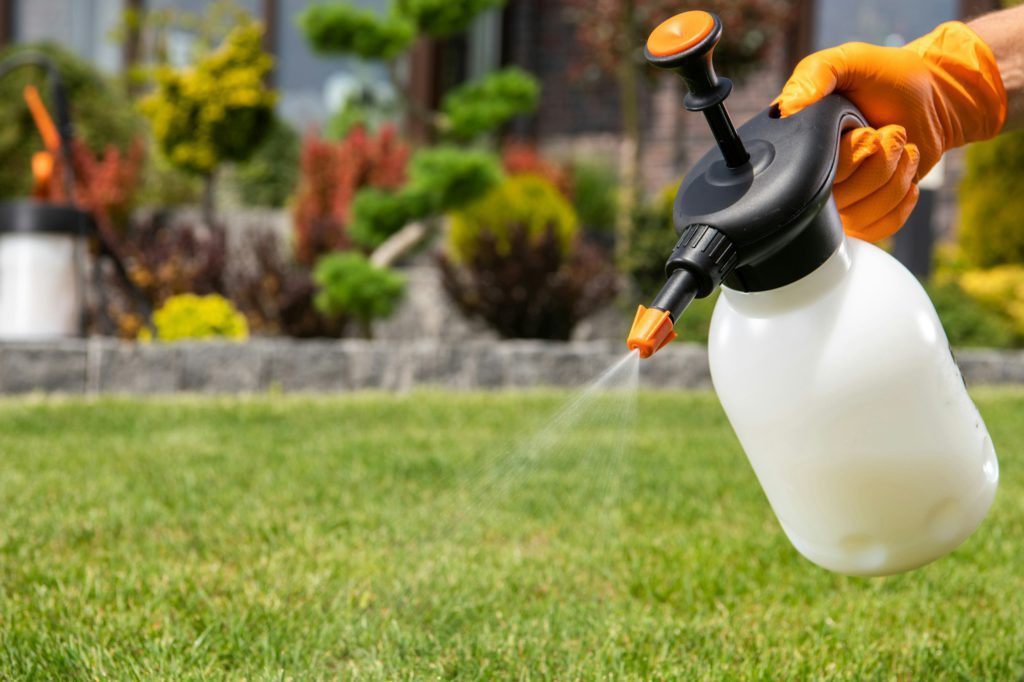 One Hand Pressure Pesticide Sprayer in Use