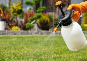 One Hand Pressure Pesticide Sprayer in Use