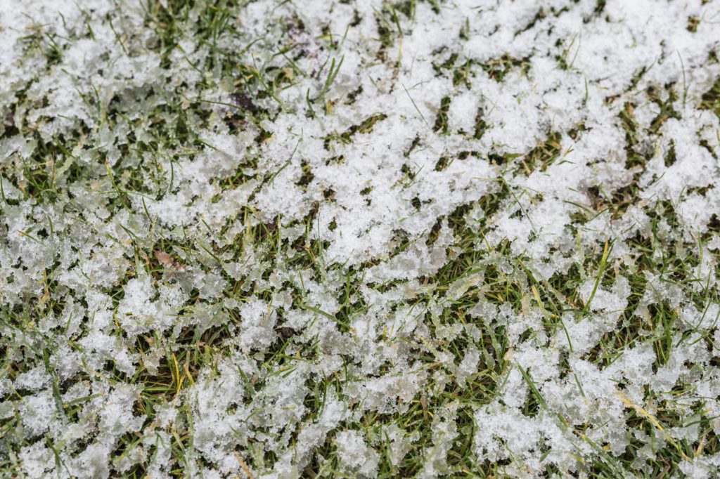 Snow covered green lawn background