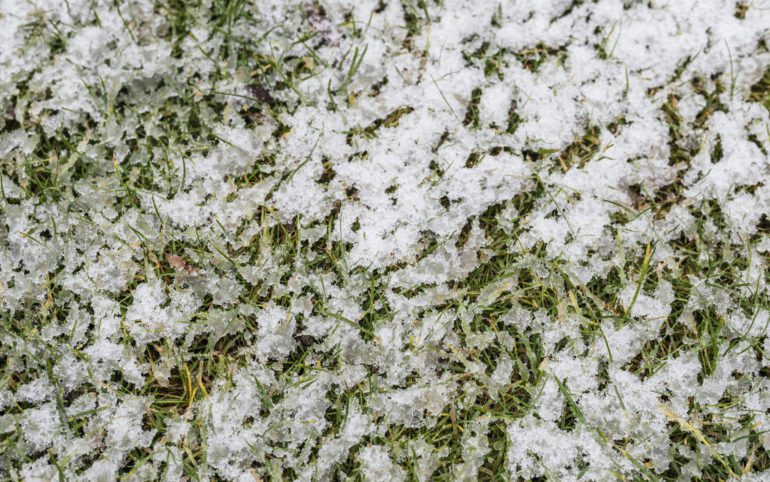 Snow covered green lawn background