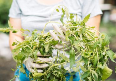 Woman holding up weeds in her hands. Weeding the garden from pests