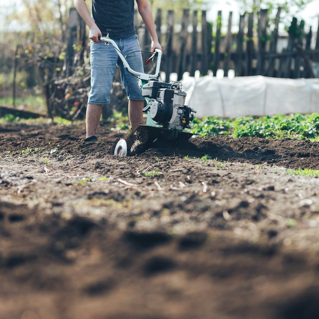 young farmer gardener cultivate ground soil rototiller , tiller tractor, cutivator, miiling machine