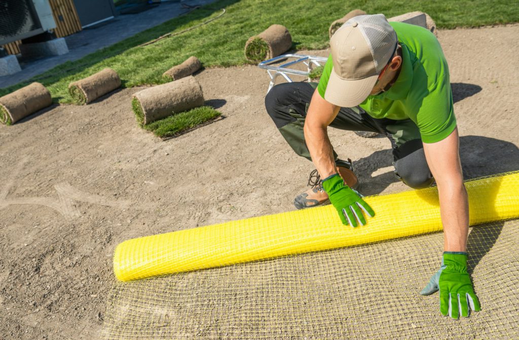 Landscaper Installing mole repellent netting