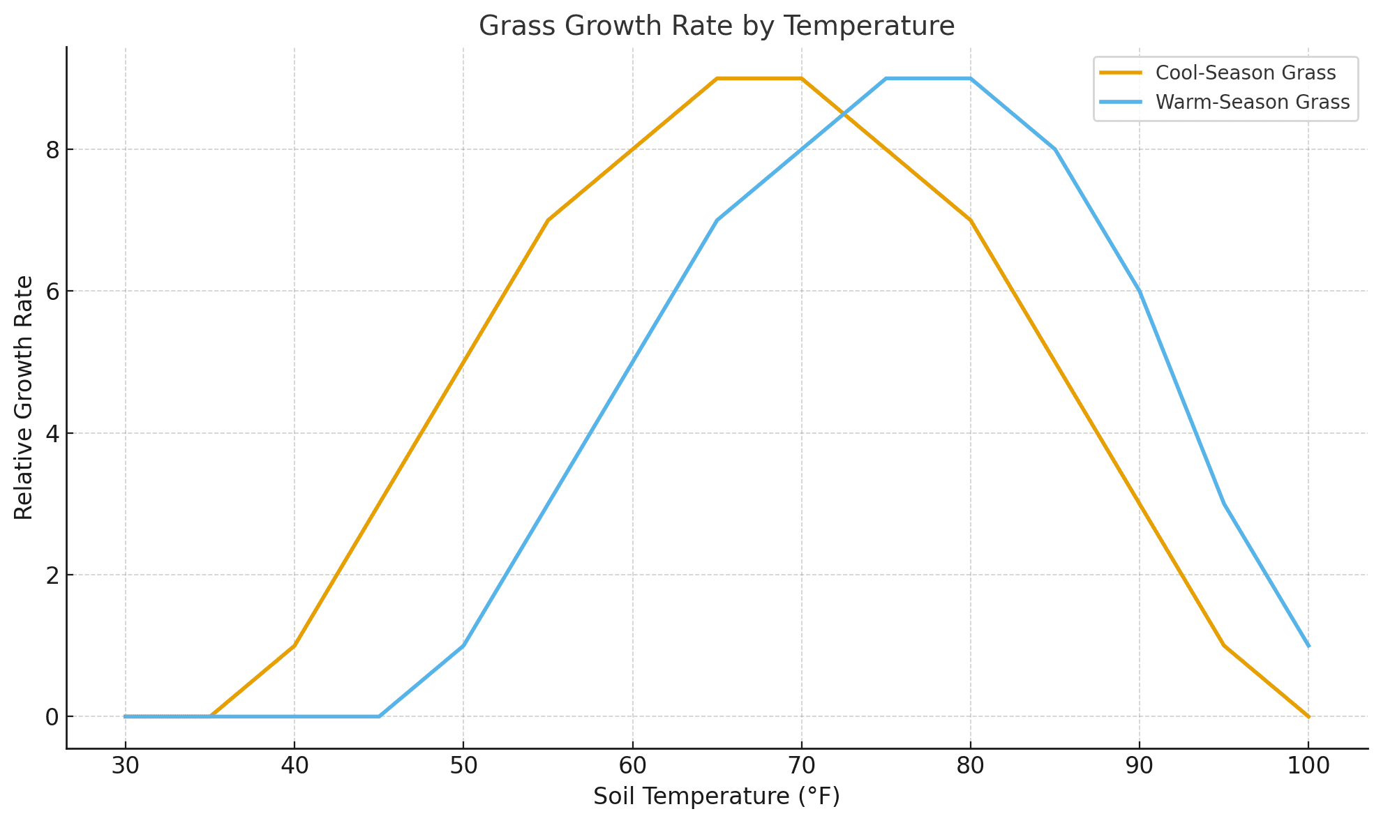 When Does Grass Stop Growing? (Warm-Season vs Cool-Season)
